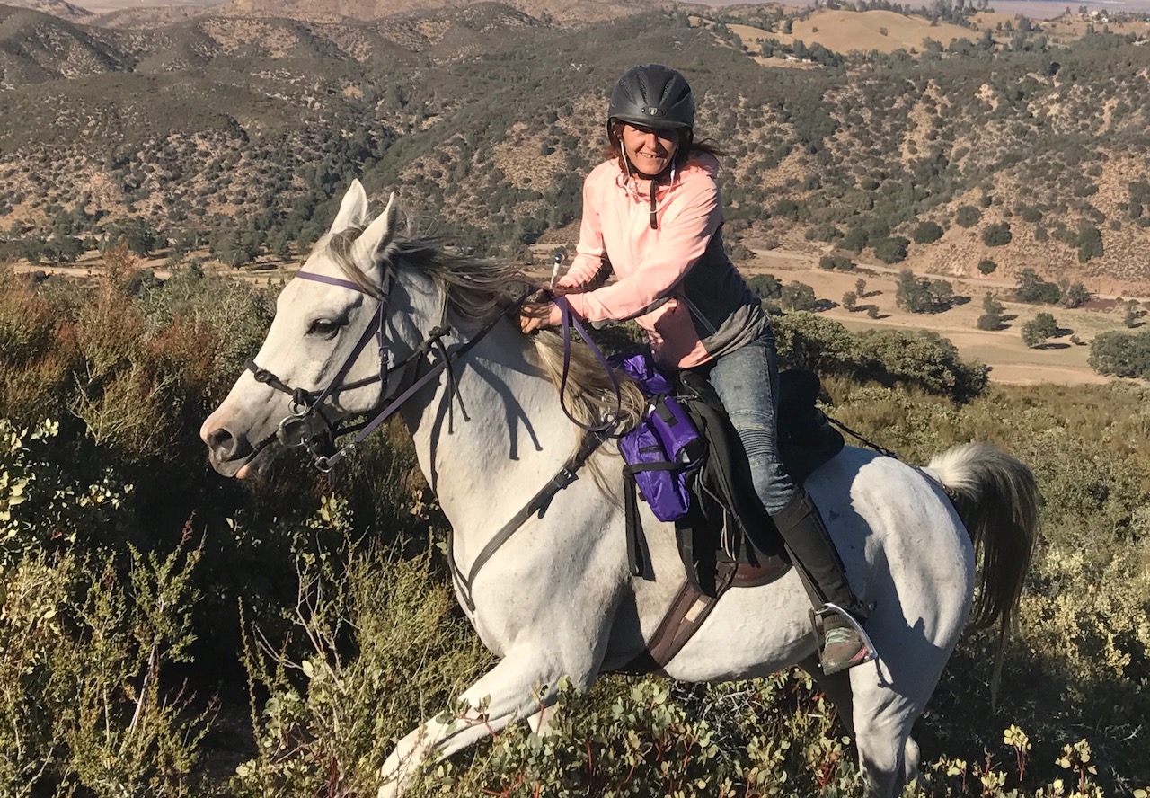 Pacific Crest Trail to Bear Camp, Half Day Ride - Horseback Riding for ...